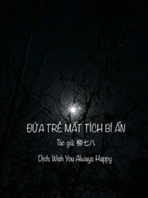 đứa Trẻ Mất Tích Bí ẩn