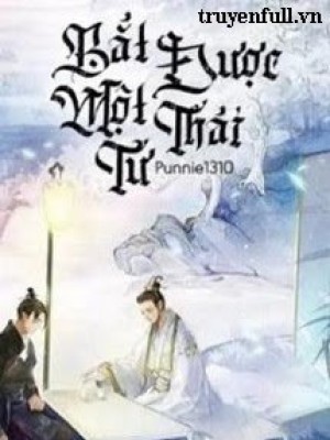 Bắt được Một Thái Tử