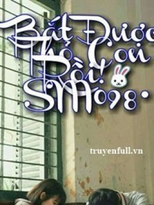 Bắt được Thỏ Con Rồi
