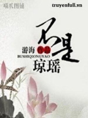 Bất Thị Quỳnh Dao (không Phải Là Quỳnh Dao)