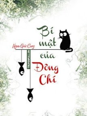 Bí Mật Của đông Chí