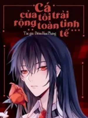 Cá Của Tôi Trải Rộng Toàn Tinh Tế