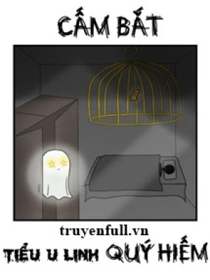 Cấm Bắt Tiểu U Linh Quý Hiếm