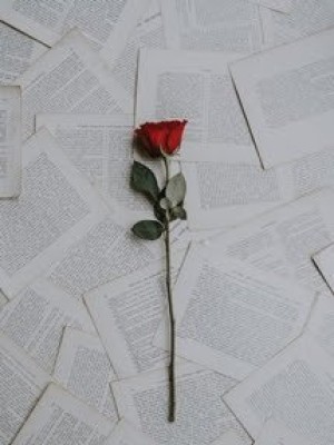 Cành Hồng Năm ấy