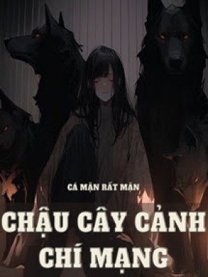 Chậu Cây Cảnh Chí Mạng
