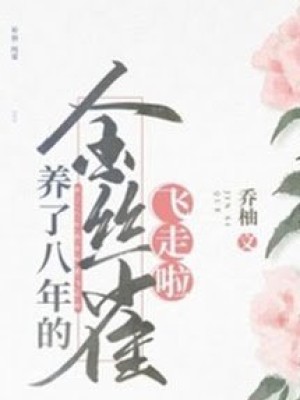 Chim Hoàng Yến Nuôi Tám Năm đã Bay đi Rồi