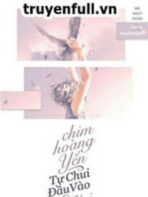 Chim Hoàng Yến Tự Chui đầu Vào Lưới