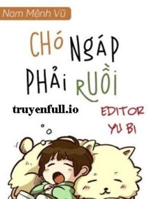 Chó Ngáp Phải Ruồi - Nam Mệnh Vũ