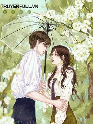 Chồng Cũ Của Tôi Mất Trí Nhớ Rồi