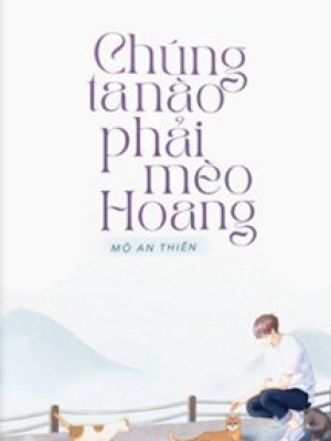 Chúng Ta Nào Phải Mèo Hoang