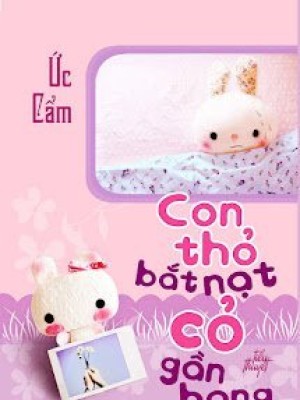 Con Thỏ 'bắt Nạt' Cỏ Gần Hang