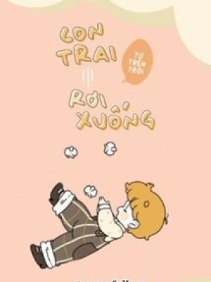 Con Trai Từ Trên Trời Rơi Xuống