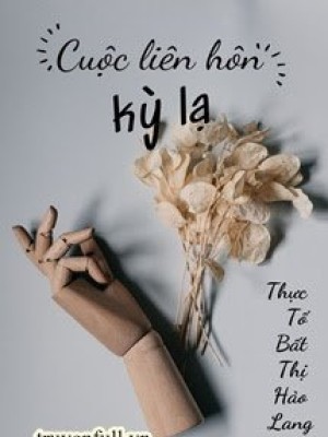 Cuộc Liên Hôn Kỳ Lạ