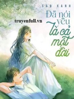 đã Nói Là Yêu Cả Một đời