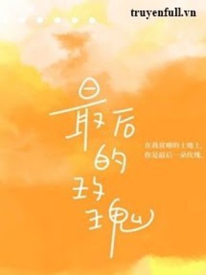 đóa Hồng Cuối Cùng