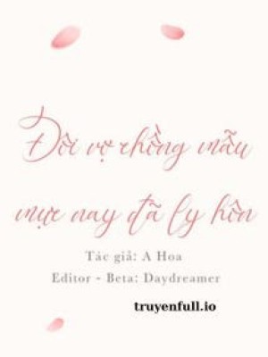 đôi Vợ Chồng Mẫu Mực Nay đã Ly Hôn