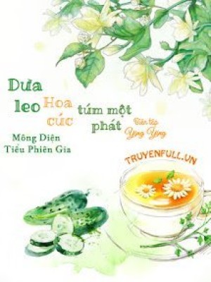 Dưa Leo Hoa Cúc Túm Một Phát
