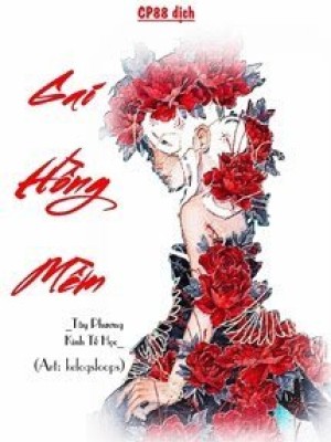 Gai Hồng Mềm