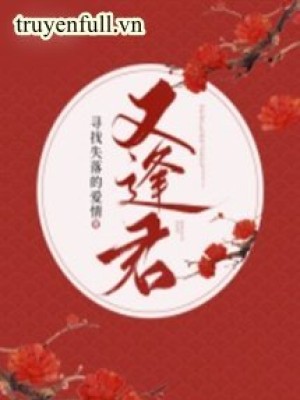 Gặp Lại Quân Tìm Kiếm Tình Yêu