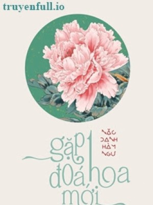 Gặp Một đoá Hoa Mới - Nặc Danh Hàm Ngư