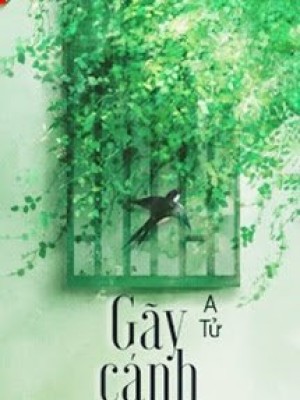 Gãy Cánh