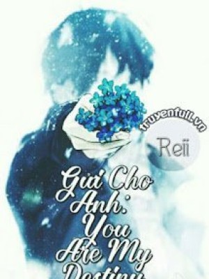 Gửi Cho Anh: You Are My Destiny