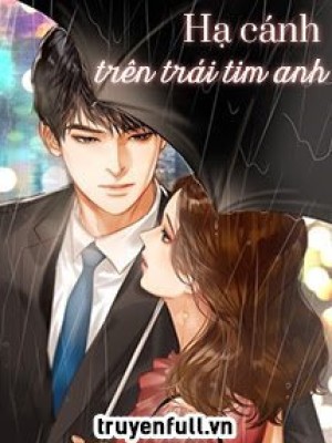 Hạ Cánh Trên Trái Tim Anh