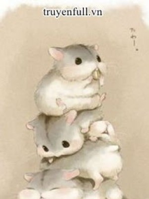 Hamster Nhỏ Nhà Thầy Giáo Tiêu
