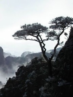 Hàng Ma Tháp