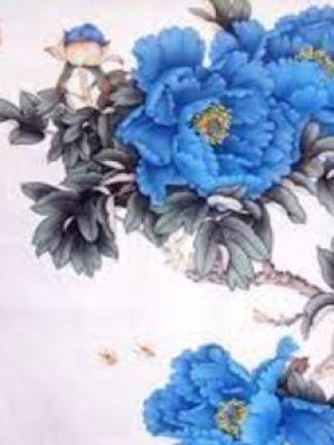 Hệ Thống Hồng Nương