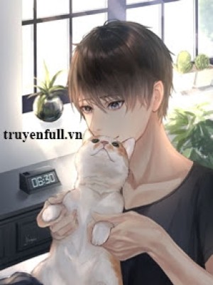 Hình Như Mèo Của Cậu Bị Ngốc