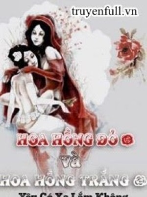 Hoa Hồng đỏ Và Hoa Hồng Trắng