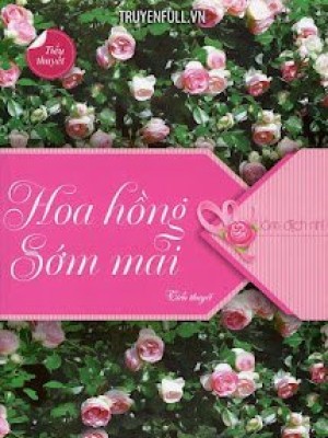 Hoa Hồng Sớm Mai