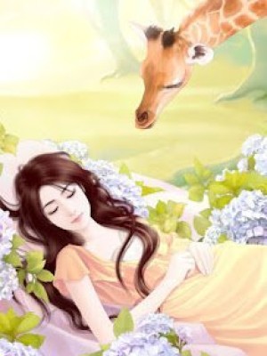Hoa Phi Hoa Vụ Phi Vụ ôn Nhu Nhược Thủy