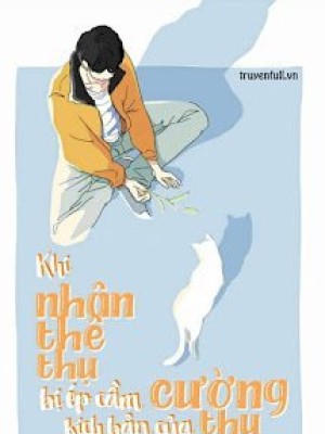 Khi Nhân Thê Thụ Bị ép Nhận Kịch Bản Cường Thụ