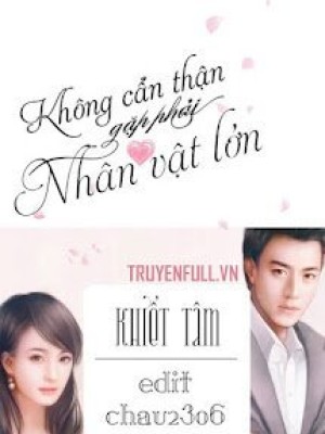 Không Cẩn Thận Gặp Phải Nhân Vật Lớn