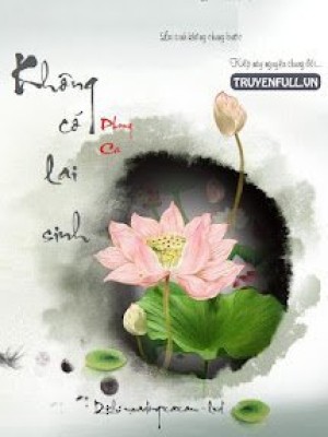 Không Có Lai Sinh