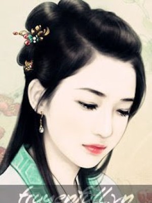 Kim Bình Mai Hoa Kỷ Nguyệt Khai