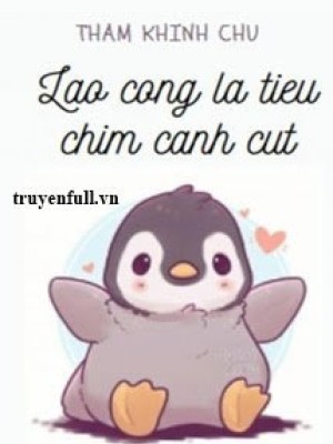 Lão Công Là Tiểu Chim Cánh Cụt