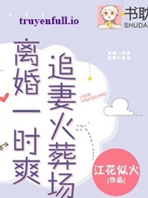 Ly Hôn Nhất Thời Sảng, Truy Thê Hỏa Táng Tràng
