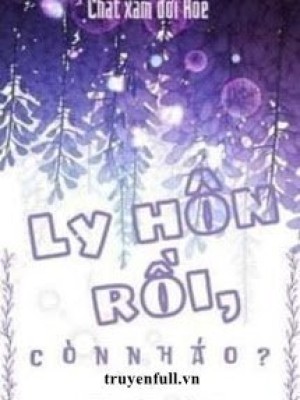 Ly Hôn Rồi, Còn Nháo