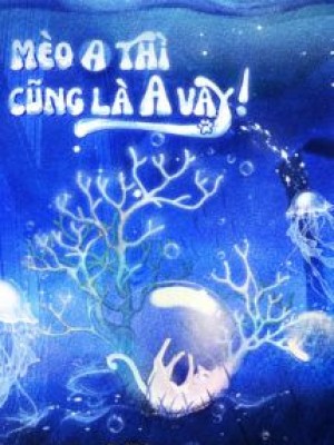 Mèo A Thì Cũng Là A Vậy!
