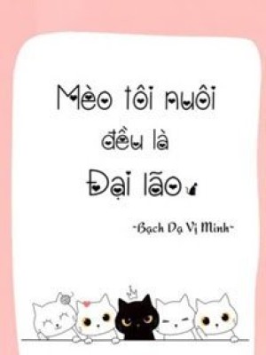Mèo Tôi Nuôi đều Là đại Lão