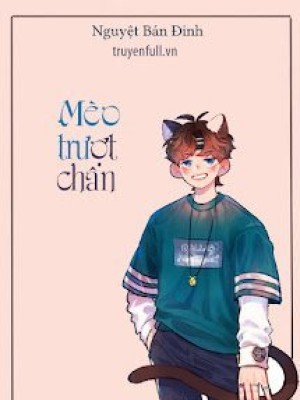 Mèo Trượt Chân