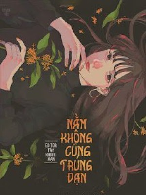 Mỗi Lần đều Là Tôi Nằm Không Cũng Trúng đạn