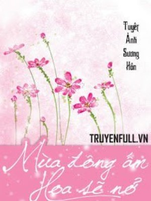Mùa đông ấm Hoa Sẽ Nở