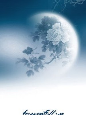 My Moonlight
