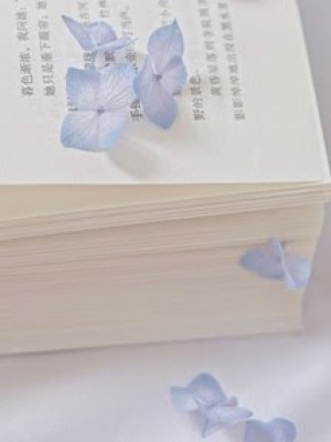 Người Phán Xử