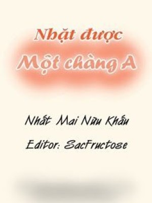 Nhặt được Một Chàng A