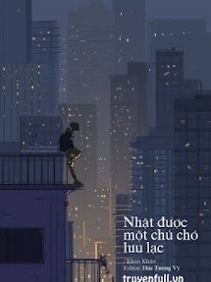 Nhặt được Một Chú Chó Lưu Lạc